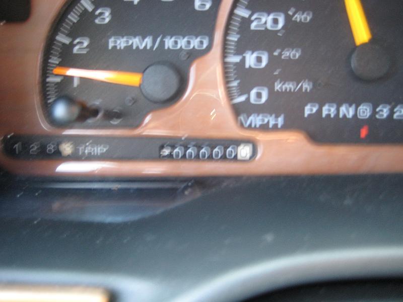 Picture 006
